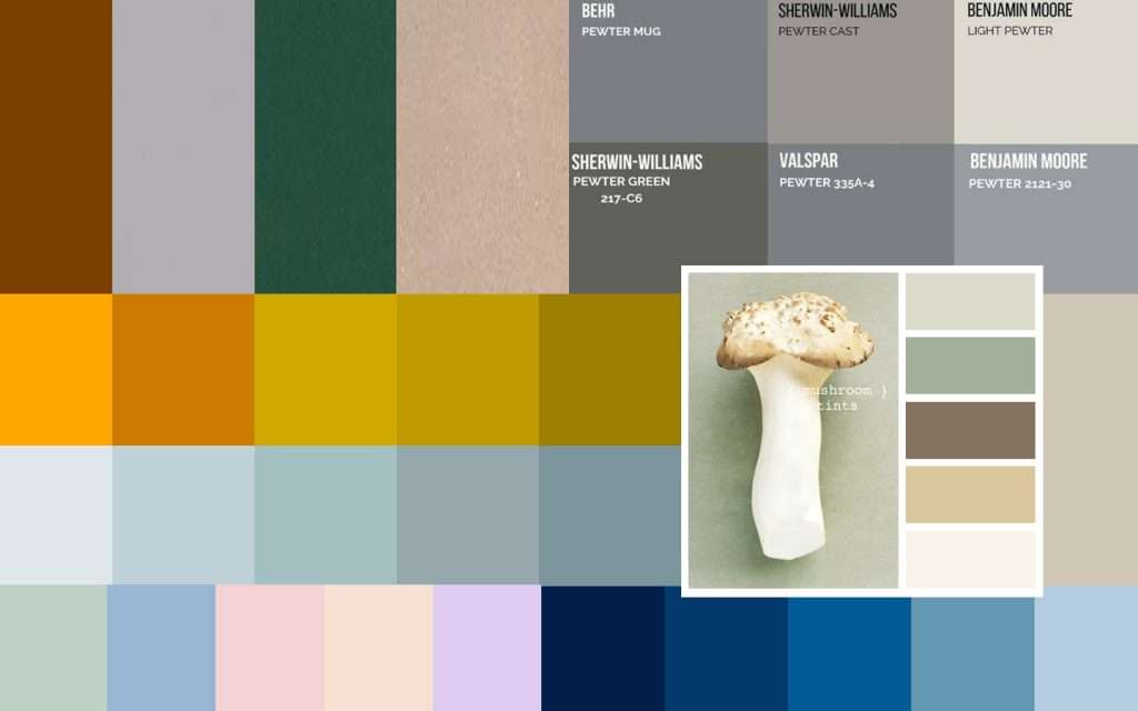 color palette